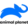 Animal Planet